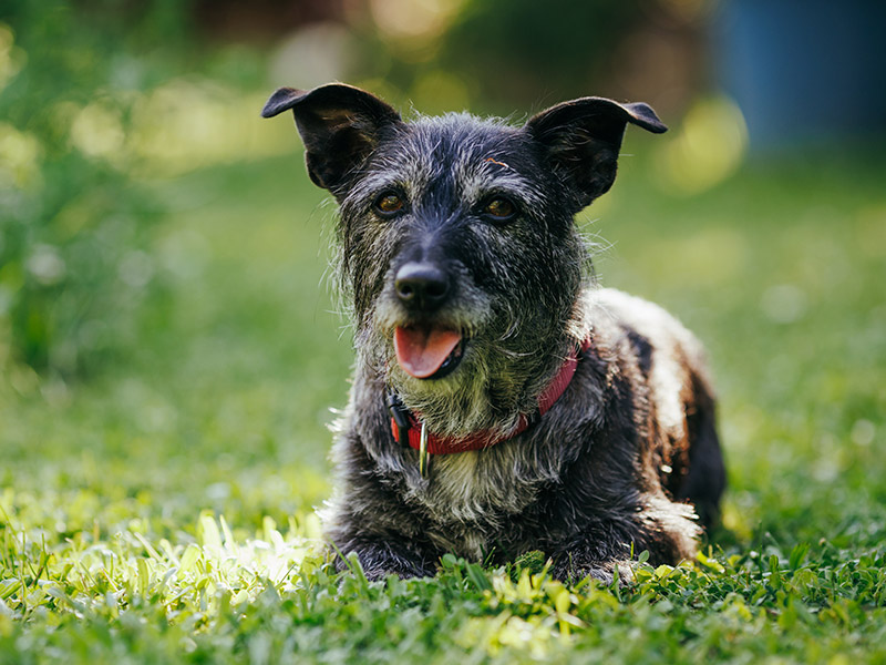 Quality of Life Consultations