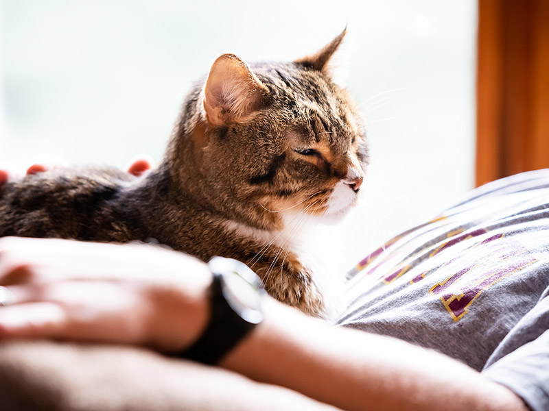 Quality of Life Consultations